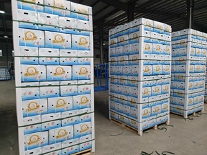 China, ajo blanco fresco, Ajo Ail Frais a granel, precio al por mayor, producto de verduras frescas - Product Image 5