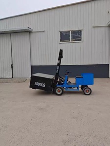 מלגזה חשמלית פשוטה 1 טון 0.5 טון קטנה להרמה הידראולית טיפול במחסן מלגזת ארבעה גלגלים תוצרת סין - Product Image 3