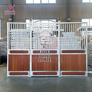 Produits équins Idées de grange à chevaux d'intérieur Construction d'écurie pour chevaux robustes stalles à chevaux de style européen - Product Image 5