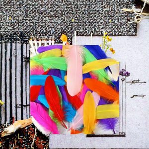 Sjh Lông Thương Hiệu Lông Ngỗng Lông Nhuộm Màu Sắc Khác Nhau Pallettes 15-20Cm Mô Hình Sjh2025111301 Cho Đám Cưới Trang Trí Tự Làm Lễ Hội - Product Image 5