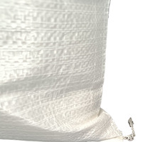 2025 Chine Sac Gravats 80L Blanc PP Tisse 550x950mm