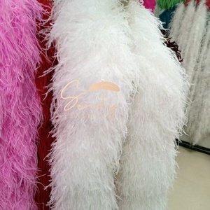 Thick <strong>Boa</strong> <strong>Ostrich</strong> 30ply <strong>Ostrich</strong> <strong>Feather</strong> <strong>Boa</strong> De Plumas Garment Accessory Costumes <strong>Feathers</strong> Festival Decoration Wedding Supplies - Product Image 2