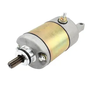 Motor Starter Motor skuter ATV Linhai 250CC/300CC