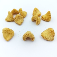 Chips de riz frites au caramel au sel marin, tendance, sucrées et salées, à texture croustillante, pour marque privée OEM