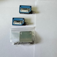 WS/WE100-2P4439 Asli 6052368 Sensor Fotolistrik Berpasangan Jarak Penginderaan 0 m -20 m PNP