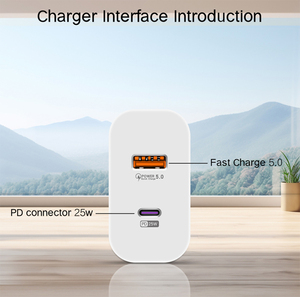 100W Loại C USB QC 3.0 nhanh chóng sạc Adapter OVP OTP siêu tốc độ sạc điện thoại di động EU chúng tôi UK PD đa cổng sạc & Adapter - Product Image 4