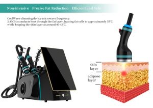 Ventes Flash : Appareil 3-en-1 Coolwaves pour le Corps et le Visage, Amincissant, Raffermissant la Peau et Réduisant le Poids - Product Image 2