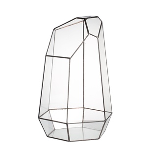 16" Extra Large Geometric Glass <strong>Terrarium</strong> Glass Reptile Box <strong>Plastic</strong> <strong>Terrarium</strong> Decor Reptiles Amphibia - Product Image 1