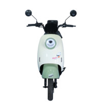 Bici elettrica aperta da strada con pneumatico a 14 250 bicicletta elettrica a 2 ruote con sistema di batterie al piombo