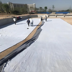 Geosynthetische Tonfolie Bentonit-Tonfolie Wasserdichte Decke Geosynthetische Tonfolien 4000g 5000g <span class=keywords><strong>4300g</strong></span> GCL - Product Image 1