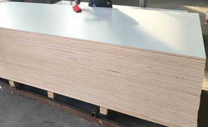 Chất lượng cao trang trí bằng gỗ nước bằng chứng nội thất HPL chống cháy Hội Đồng Quản trị <span class=keywords><strong>melamine</strong></span> nhỏ gọn tấm Tường Nhà Máy Giá - Product Image 4