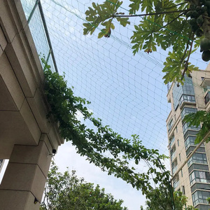 La filet de soutien pour plantes grimpantes peut aider les cultures à s'engager dans la croissance et empêcher les plantes grimpantes de ne plus <span class=keywords><strong>avoir</strong></span> <span class=keywords><strong>rien</strong></span> sur lequel s'appuyer. - Product Image 2