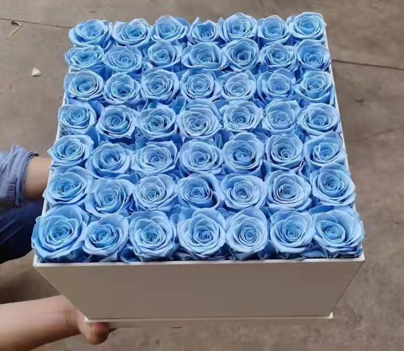Coffret 49 roses Bleu Ciel