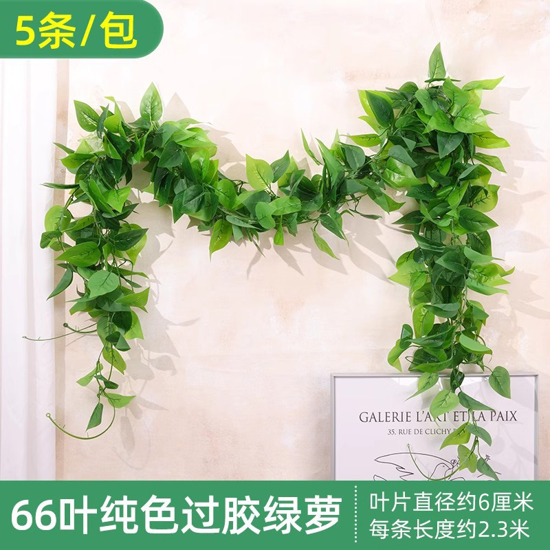 Pothos haute fidélité, sans odeur, à 66 feuilles, couleur unie (lot de 5)