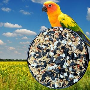 Bán Buôn Cao Hỗn Hợp Hạt Hạt Hướng Dương Lovebird Thức Ăn Vừa Parrot Bird Thực Phẩm - Product Image 1