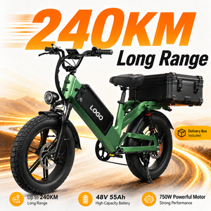 Bicicleta Eléctrica de Carga D55 E-MTB con Llantas Gruesas de 20 Pulgadas, 750W, 48V55Ah, Alcance de 240 km, Entrega OEM, Venta al por Mayor - Product Image 1