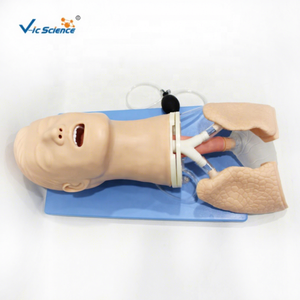 Modelo de Obstrucción de Vías Respiratorias Multifuncional Avanzado, Tamaño Real de Adulto, para Enfermería y Medicina - Product Image 1