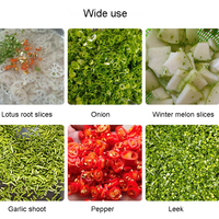 Coupe de légumes Offre Spéciale coupant trancher la machine de déchiquetage trancheuse de légumes