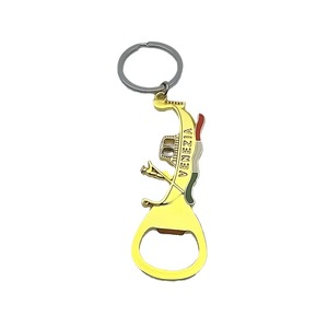 Llavero Abridor de Botellas Personalizado con Diseño de Véncia, <span class=keywords><strong>Roma</strong></span>, Francia, República Checa, Recuerdo Turístico Europeo, por Fabricante - Product Image 1