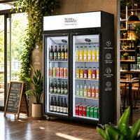 Vitrine réfrigérée personnalisée avec ventilateur de refroidissement et réfrigérant écologique R290 pour événements extérieurs et environnements tropicaux