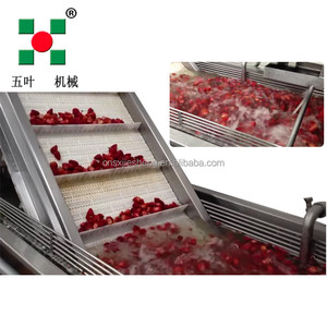 Iqf dây chuyền chế biến đông lạnh trái cây dâu tây đông lạnh - Product Image 4