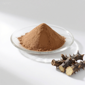 Pure 100% <span class=keywords><strong>Acanthopanax</strong></span> Senticosus Extrato Em Pó Premium Extrato De Planta - Product Image 2