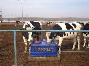 Alimentador de agua automático <span class=keywords><strong>Bebedero</strong></span> para <span class=keywords><strong>caballos</strong></span> <span class=keywords><strong>Bebedero</strong></span> automático Flotador 2 puntos individuales Comedero de agua - Product Image 4