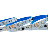 DC12V 24V ICWS2811 Pixel direccionable Rgb 5050 Tira de luces LED 30 LEDS/M IP20 IP65 IP67 IP68 Tira de luces LED
