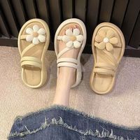 Vente en gros, mode 2024, tongs d'extérieur en EVA antidérapantes pour l'été, pantoufles de créateur pour la maison, sandales pour femmes et hommes
