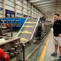 200 Kg/u Frietproductielijn Complete Food Grade Roestvrijstalen Aardappelchips Machine Met Mixer En Friteuse Voor Fruit