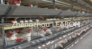 Leabon 3 Étages 4 Portes Lapin <span class=keywords><strong>Cage</strong></span> À Volaille Cages de Poulet de Couche À Vendre - Product Image 2