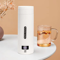 Bouilloire Électrique Portable 300W 304 500ml 4 Réglages de Température Arrêt Automatique Protection Anti-Ébullition à Sec Anti-Fuite Utilisation Maison et Voyage