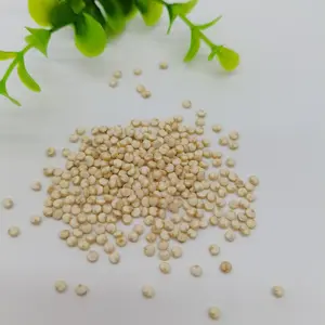 Hot Selling Hoge Eiwit Quinoa Voor Verkoop Bulk Drie Kleur Quinoa Graan Uit China