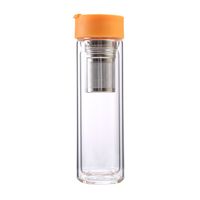 Infuseur à thé en verre Borosilicate avec bec, bouteille à Double paroi 450ml, 30 ml
