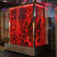 Aquarium carré en acrylique Rainforest avec éclairage LED, panneau transparent, pour exposition aquatique tropicale