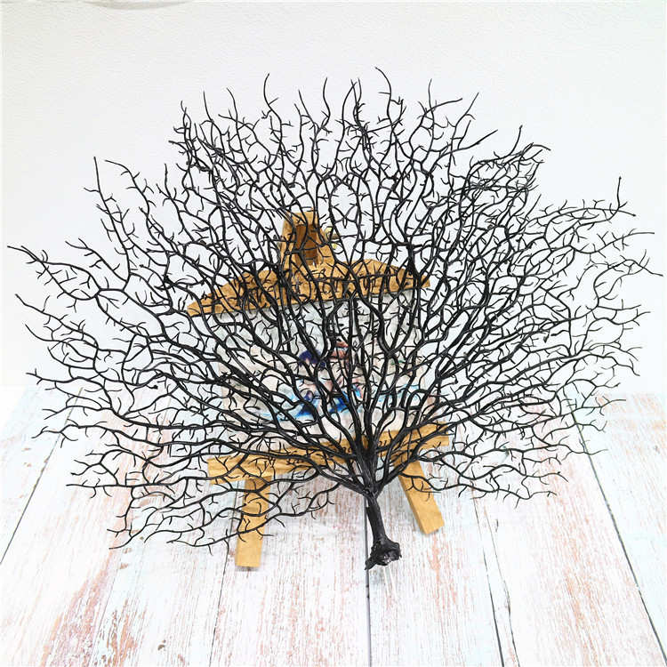 Single Black Coral branches