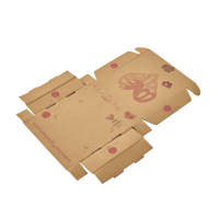 Boîte d'avion en papier ondulé personnalisable-Impression de la doublure intérieure, couleur/taille/impression/dimension personnalisées pour l'emballage