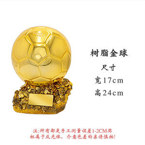 Golden Ball <b>Trophy</b> Resin 18cm Wide 23cm High <b>Engraved</b> Sports Award - Product Image 5