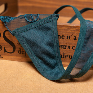 Tangas sexys de encaje europeo para mujer, con bordado, malla transparente, finas, talla grande, sin costuras, tipo T-string, muy vendidas. - Product Image 2