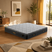 Matelas à ressorts pour hôtel - Design moderne et minimaliste abordable, 200 mm d'épaisseur, fermeté douce idéale pour les chambres à coucher et les maisons d'hôtes