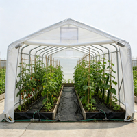 Serres de jardin résistantes aux intempéries, système de culture hydroponique de légumes, grande serre de culture intérieure pour plantes