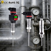 Termómetro Digital RTD, Sensor de Temperatura Bluetooth, Sensor de Temperatura Pt100 0-20mA