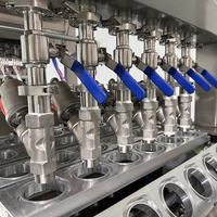 Nouvellement développé avec la fonction de lavage de tasse Machine de remplissage et de scellage de tasse d'eau minérale Machine de remplissage de tasse de glaçon
