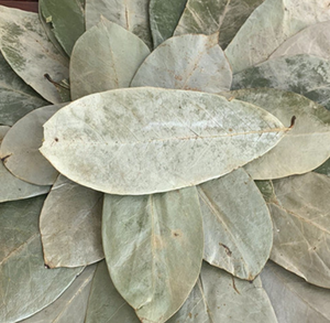 1000g رائج رائج رائجة أوراق الشجر المخمر أوراق الشجر مجفف للبيع - Product Image 5