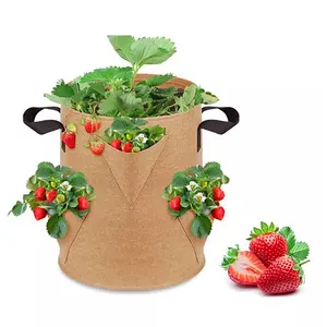 5/10 galon çilek büyümek çanta sebze çiçek kolu ile Pot büyümek olmayan dokuma bitki çanta büyümek
