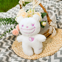 Ours en peluche personnalisés OEM ODM, différents tissus doux, vente en gros