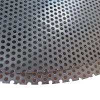 Tôle d'acier inoxydable microperforée Tôle métallique perforée