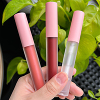 Tube de brillant à lèvres brillant DIY, marque privée, végan, imperméable, rouge à lèvres liquide mat en gros