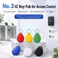 Porte-clés RFID intelligent avec puce 13,56 MHz, logo personnalisé, en ABS, mini-étiquette, contrôle d'accès
