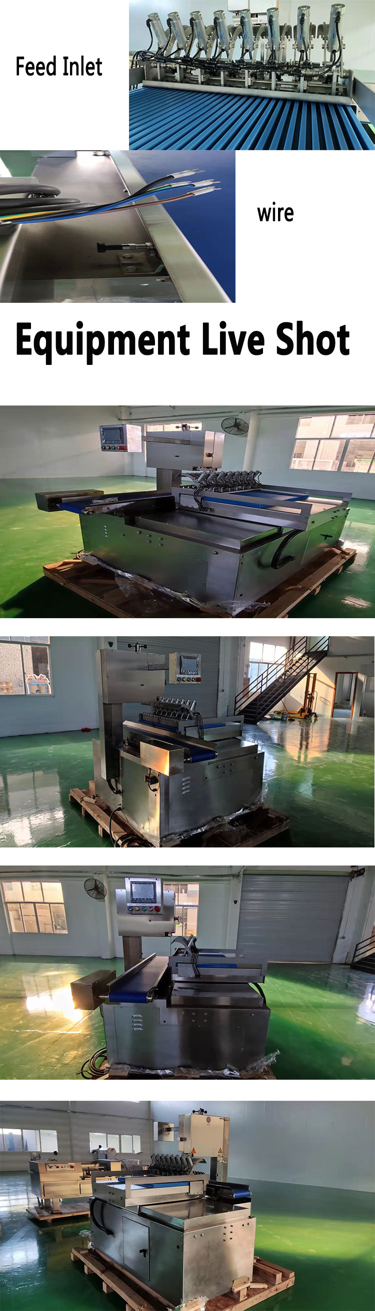 Commercial High Output Automatic Bones Cutter For Sawing Bones Pigs Trotters Beef Steak Frozen Meat